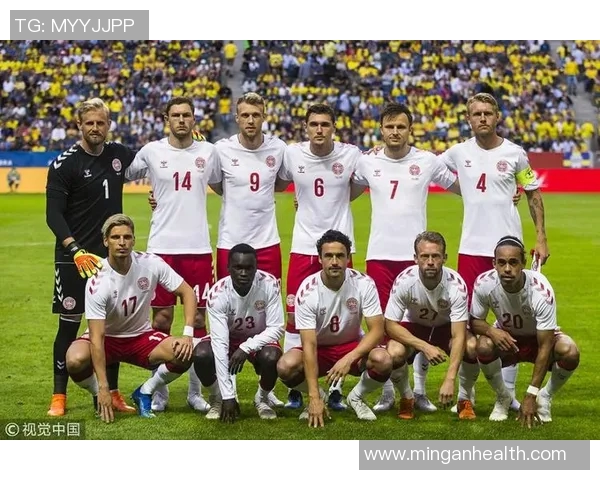 瑞典与丹麦足球对决的比赛地点及相关信息解析